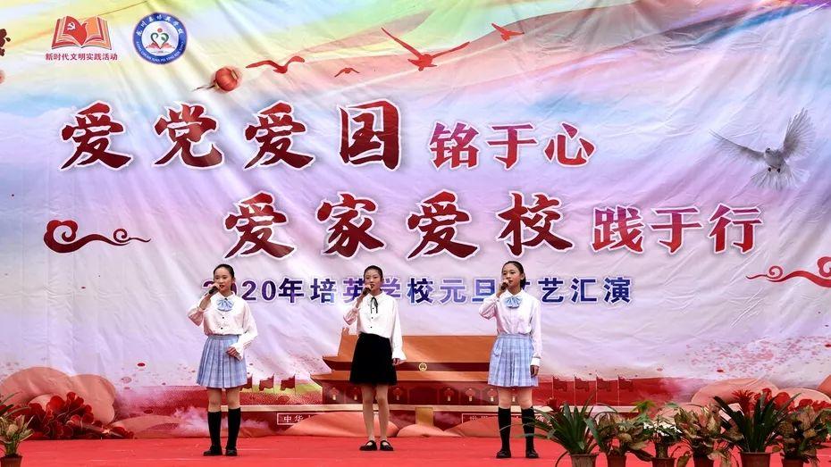面对车流，它却没有任何躲避，也许，当它流浪那一刻，心也死了